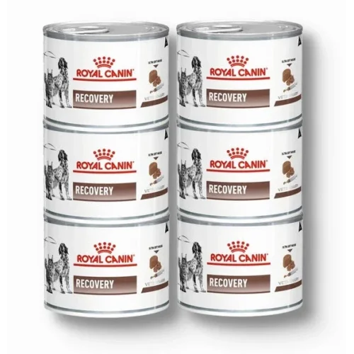 Royal Canin Recovery Yetişkin Kedi ve Köpek Konservesi 6x195 gr