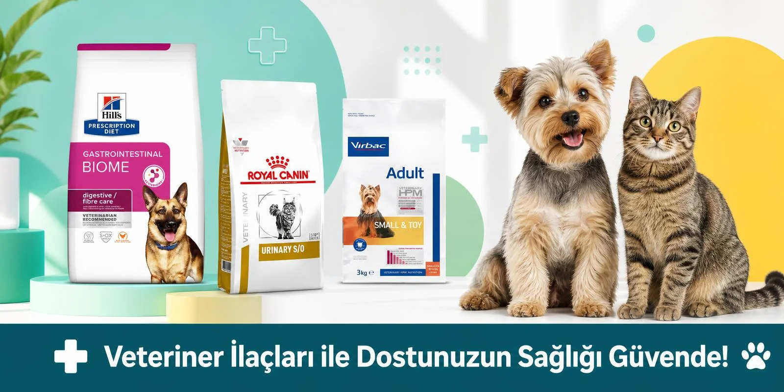 Veteriner ilaçları temalı kedi, köpek ve üç farklı sağlık ürünü